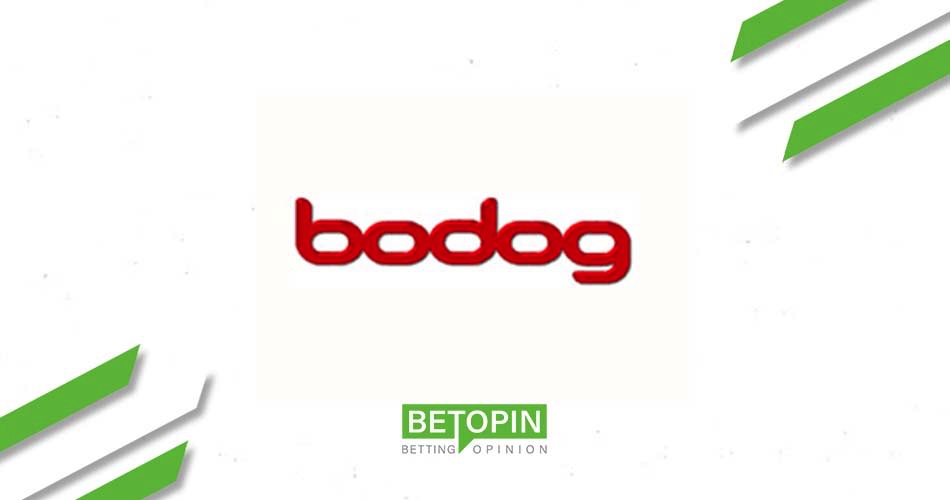 Bodog