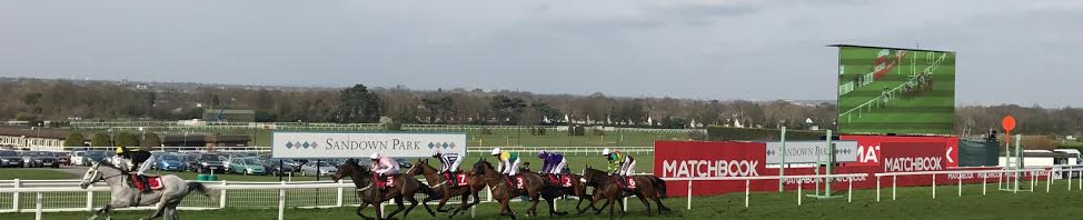 Matchbook Betting Exchange Sandown Park