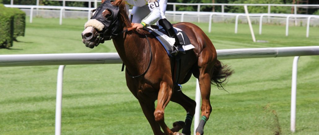 Grand National Betting