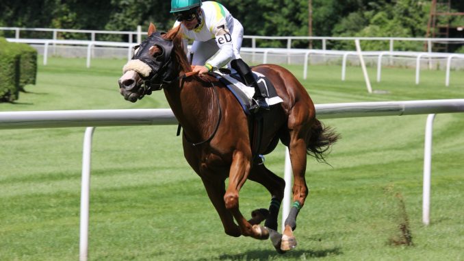 Grand National Betting