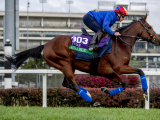 Breeders Cup Turf Favourite Enable