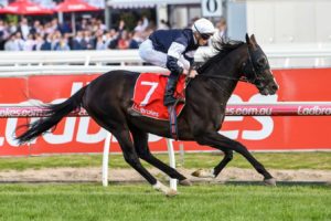 Yucatan - 2018 Melbourne Cup Favourite