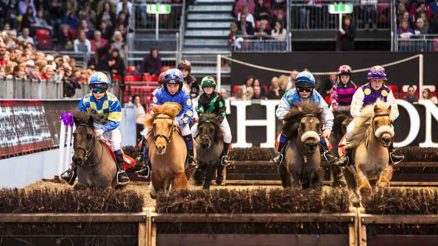 London International Horse show