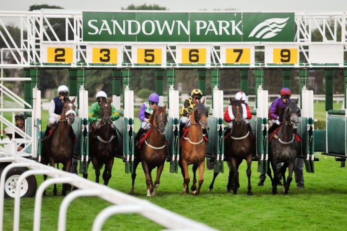 Sandown Horse racing