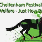 Cheltenham Festiveal: Horse Welfare - Just How Bad Is It