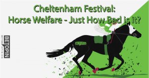 Cheltenham Festiveal: Horse Welfare - Just How Bad Is It