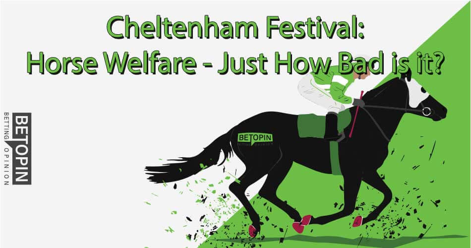 Cheltenham Festiveal: Horse Welfare - Just How Bad Is It